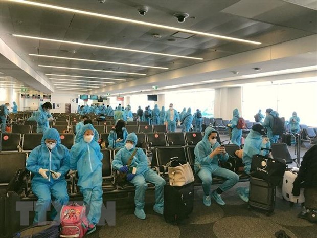 Repatrian a 240 ciudadanos vietnamitas desde Corea del Sur por COVID-19 hinh anh 1