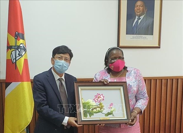 Mozambique destaca papel de Vietnam como presidente de la ASEAN hinh anh 1