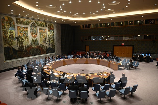 Intensifican cooperacion entre miembros no permanentes del Consejo de Seguridad de la ONU hinh anh 1
