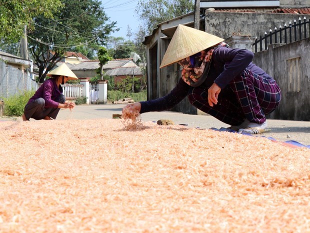 Enfocada provincia vietnamita de Bac Lieu en reduccion de la pobreza hinh anh 1