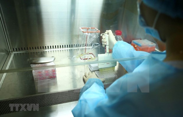 Espera Vietnam distribucion universal de vacuna anticovid en 2022 hinh anh 1