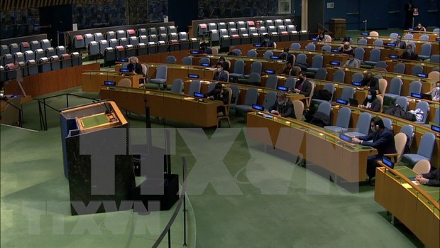 Asamblea General de la ONU resalta valores de la UNCLOS hinh anh 1