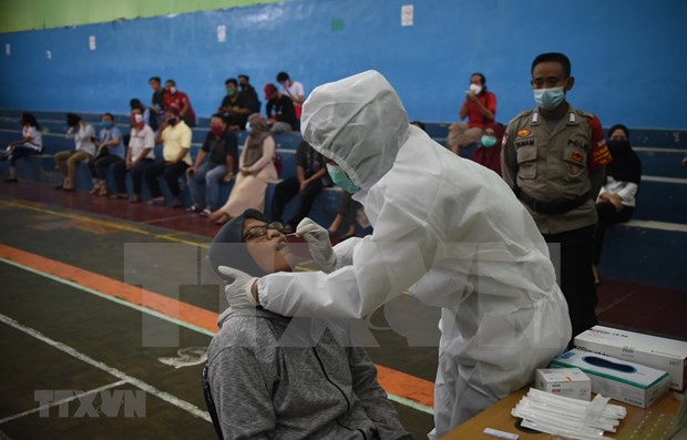 Indonesia: Diplomacia acelera acceso a vacuna contra el COVID-19 hinh anh 1