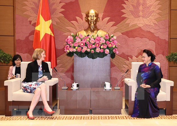 Enaltecen aportes de embajadores extranjeros al progreso de Vietnam hinh anh 1