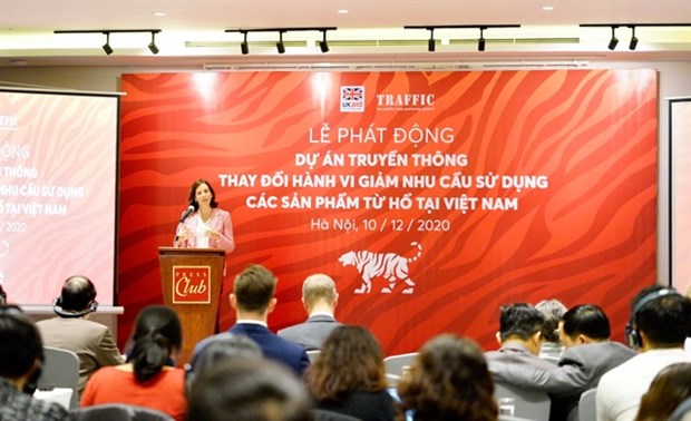 Disminuye demanda de productos procesados de tigre en Vietnam hinh anh 1