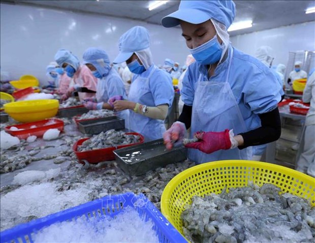 Exportaciones de productos acuaticos vietnamitas superan siete mil millones de dolares hasta noviembre hinh anh 1