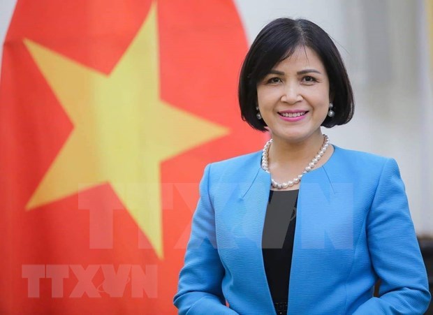 Vietnam promueve la participacion de la ASEAN en organizaciones internacionales en Ginebra hinh anh 1