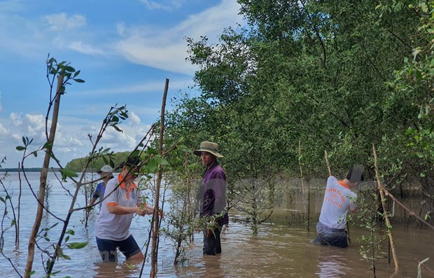 Fortalecen la resiliencia al cambio climatico de las localidades costeras en Vietnam hinh anh 1