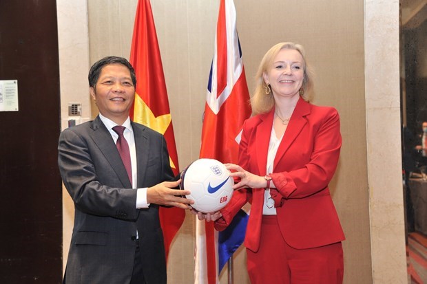 TLC entre Vietnam y Reino Unido entrara en vigor fin de este ano hinh anh 2
