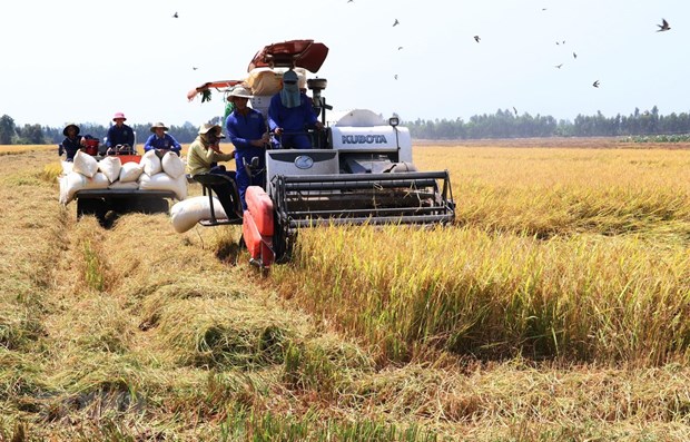 Provincia vietnamita de Bac Giang promueve industrias hacia desarrollo agricola hinh anh 1