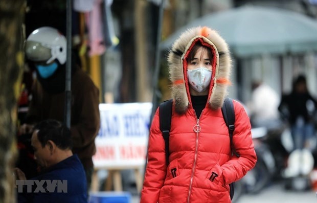 Autoridades vietnamitas adoptan medidas preventivas contra frio intenso hinh anh 1