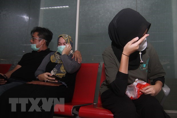Indonesia: Detectan posibles senales de caja negra del avion estrellado hinh anh 2