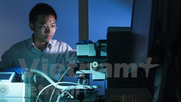 Australia financia proyecto de doctor vietnamita de desarrollo de celulas solares hinh anh 1
