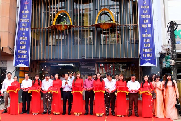 Provincia vietnamita de Ca Mau por promover comercio electronico hinh anh 1