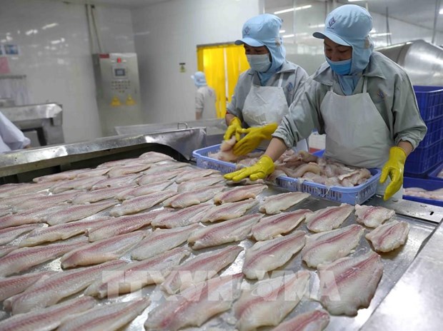 Provincia vietnamita insta a supervisar calidad de productos exportados a China hinh anh 1