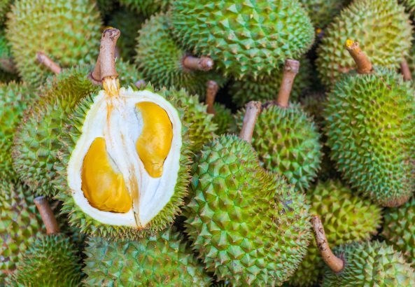 Durian de Malasia penetra en mercado japones hinh anh 1