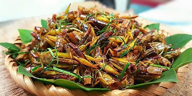 Cocina peculiar de la provincia vietnamita de Son La hinh anh 5