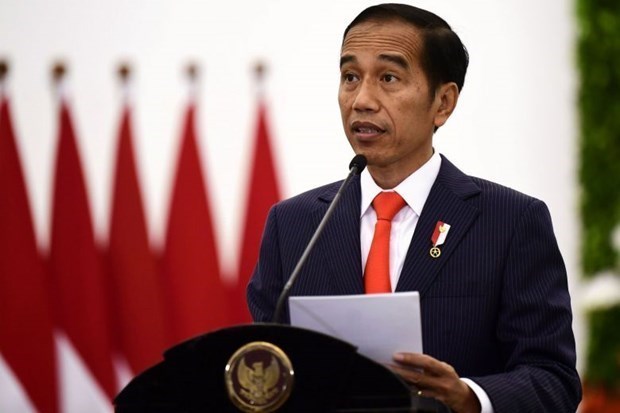 Presidente de Indonesia descarta posibilidad de reorganizar gabinete hinh anh 1