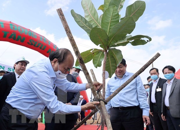 Primer ministro llama a construir un Vietnam verde hinh anh 3