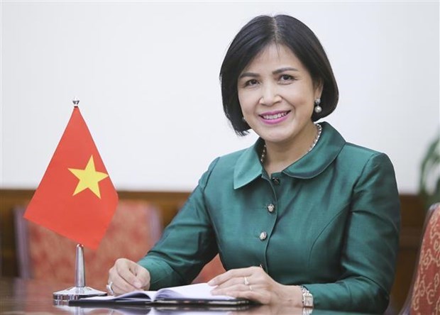 Destaca Vietnam papel de la UNCTAD para solidaridad internacional hinh anh 1