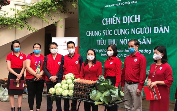 Cruz Roja de Vietnam une esfuerzos para apoyar a agricultores afectados por COVID-19 hinh anh 1