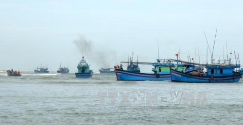 Provincia vietnamita intensifica lucha contra pesca ilegal hinh anh 1