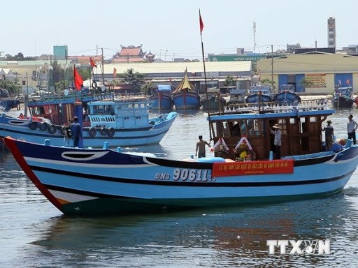 Provincia vietnamita de Bac Lieu por elevar conciencia sobre pesca ilegal hinh anh 1