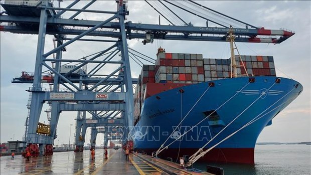 Disminuye atraque de barcos extranjeros en puertos vietnamitas hinh anh 1
