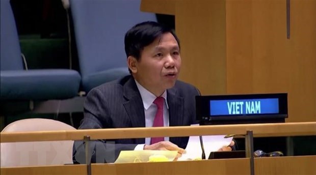 Vietnam apoya operaciones de Mision de Asistencia de las Naciones Unidas en Sudan del Sur hinh anh 1