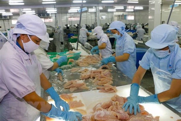 Casi 700 empresas pesqueras vietnamitas cumplen estandares de exportacion a Taiwan hinh anh 1