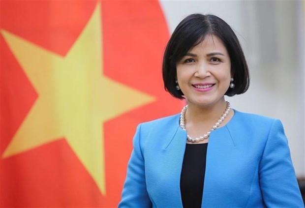 Mision vietnamita celebra el Dia Internacional de la Mujer en Ginebra hinh anh 1
