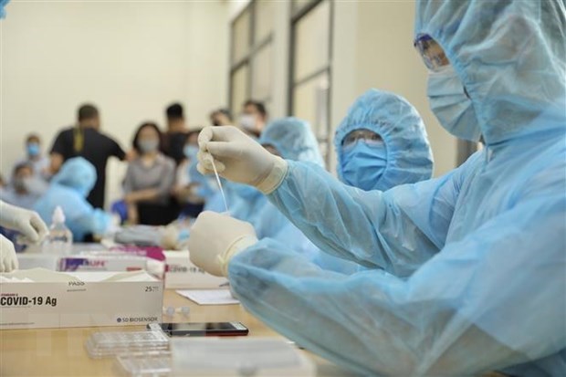 Vietnam reporta siete nuevos casos del COVID-19 hinh anh 1