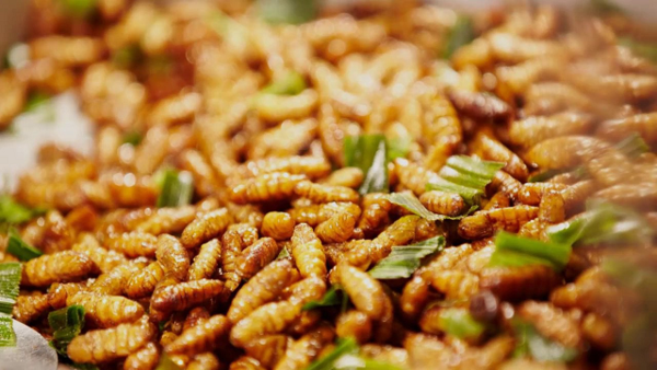 Vietnam autorizado a enviar alimentos hechos de insectos a Union Europea hinh anh 1