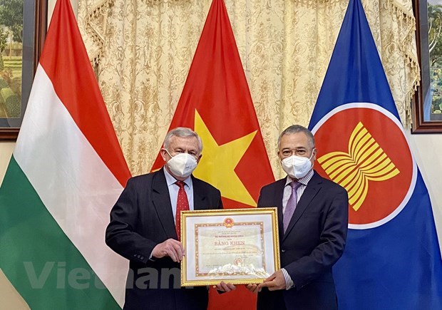 Resaltan contribuciones de Asociacion de Amistad Hungria-Vietnam a fomento de lazos binacionales hinh anh 1