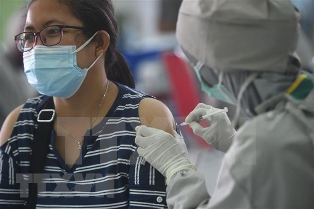Mas de cinco millones de indonesios reciben la vacuna contra el COVID-19 hinh anh 1