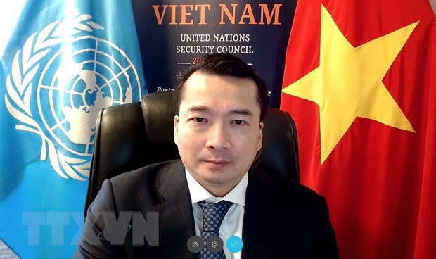 Vietnam apoya solucion integral para crisis libia hinh anh 1