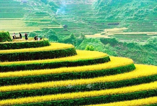 Lanzan en Vietnam XI Concurso Internacional de Fotografia Artistica hinh anh 1