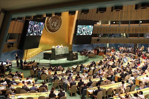 Presidencia del Consejo de Seguridad de la ONU: Impronta de Vietnam en ambito internacional hinh anh 2