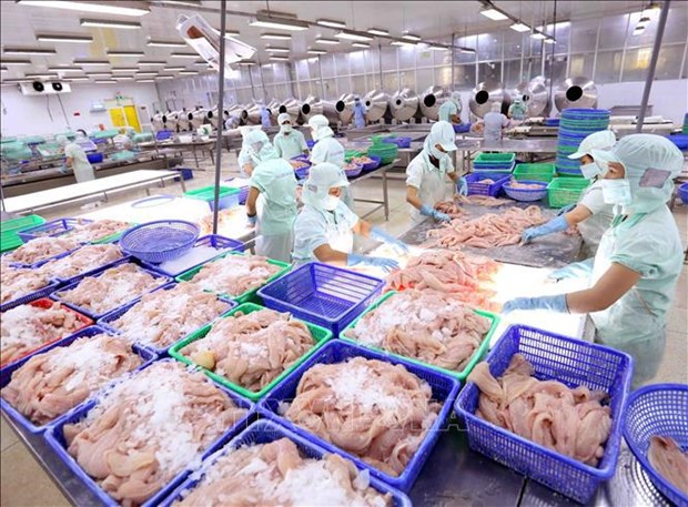 Vietnam experimenta alza en exportaciones de productos acuicolas hinh anh 1