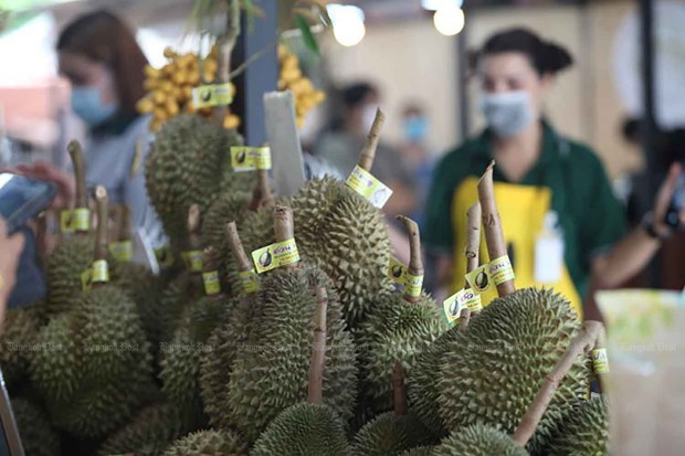 Surge una competicion en Asia por ser principal productor mundial de durian hinh anh 1