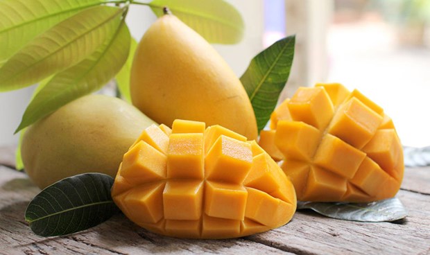 Vietnam planea alcanzar 650 millones de dolares por exportaciones de mangos hinh anh 1