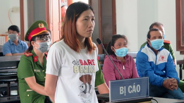 Condenan a vietnamita por delitos contra el Estado hinh anh 1