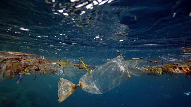 Japon ayuda a Vietnam a reducir la contaminacion por plasticos en oceanos hinh anh 2