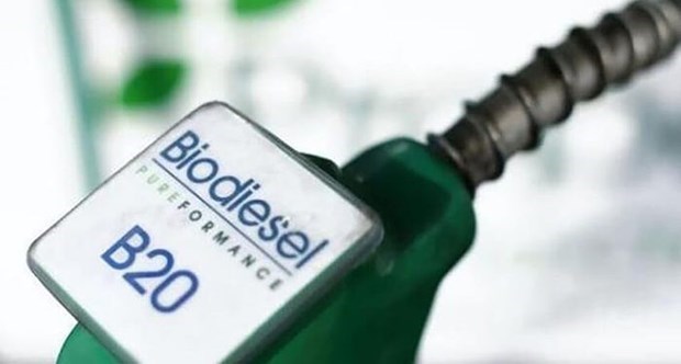 Indonesia, mayor productor de biodiesel del mundo hinh anh 1