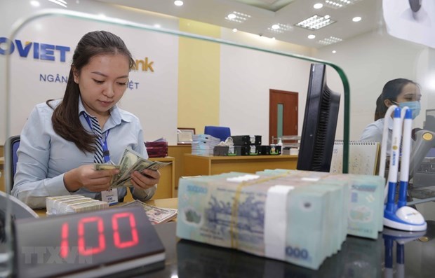Vietnam por promover emision de bonos gubernamentales en mercado internacional hinh anh 1
