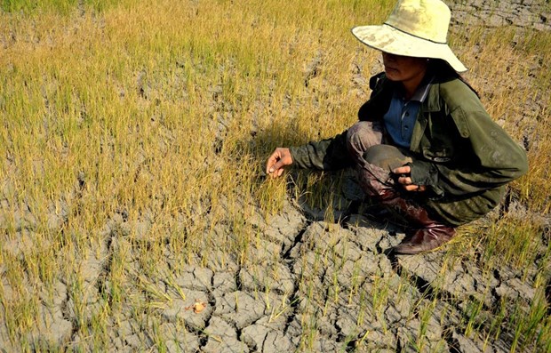 Promueven igualdad de genero en politicas de respuesta al cambio climatico en Vietnam hinh anh 1