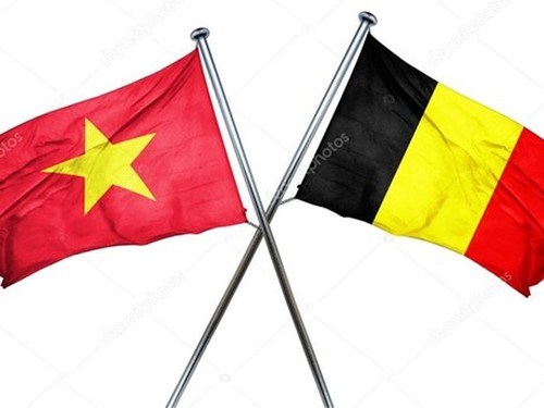 Belgica y Vietnam fomentan cooperacion en diversos aspectos hinh anh 1