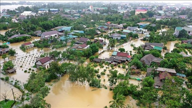 Pronostican situacion estable de tifones en Vietnam este ano hinh anh 1