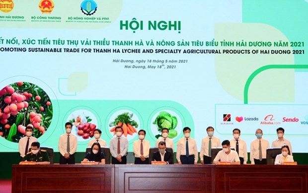 Promueven productos agricolas caracteristicos de provincia vietnamita hinh anh 1