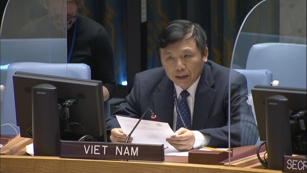 Vietnam insta a reanudar las negociaciones sobre cuestion de Palestina hinh anh 2
